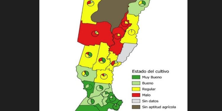 ¿Cómo se encuentra el maíz y la soja en Santa Fe?