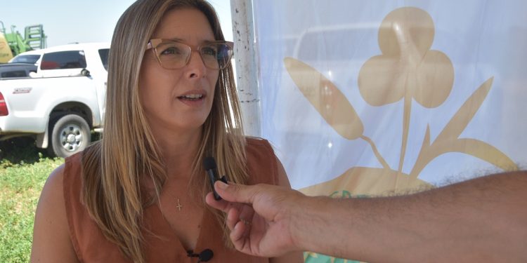 La alfalfa presenta una excelente relación costo-beneficio en el marco de la campaña de pasturas