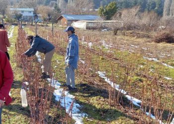 Sin mate y sin bizcocho
