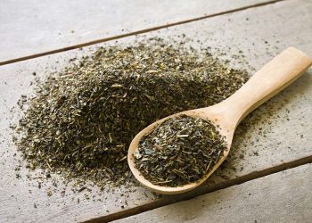 Yerbateros preocupados por la desregulación del precio