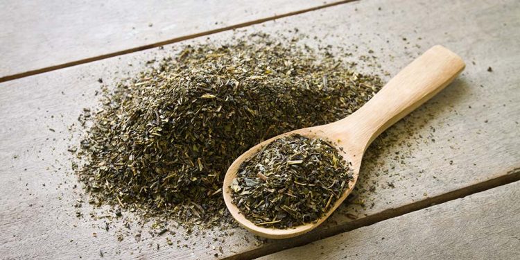 Yerbateros preocupados por la desregulación del precio