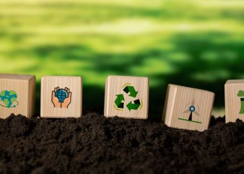 Ancap avanza en las energías renovables con inversiones de privados