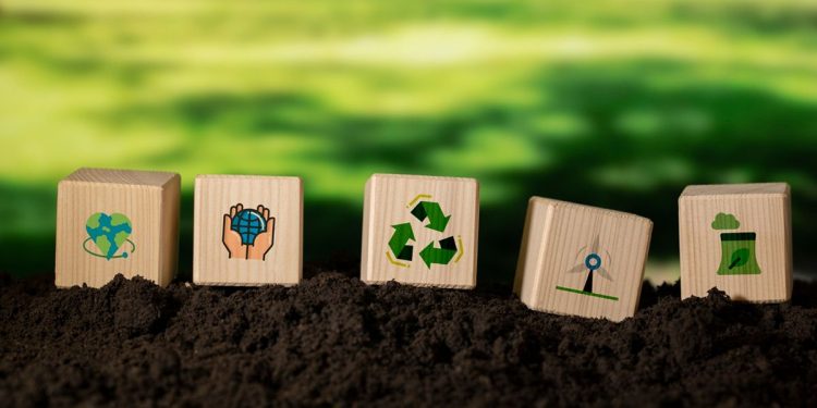 Ancap avanza en las energías renovables con inversiones de privados