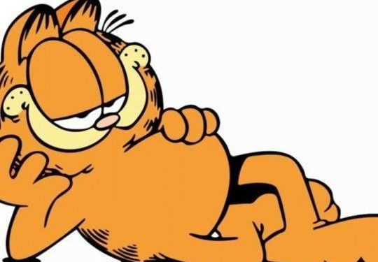 Así se vería Garfield como un gato real, según la Inteligencia Artificial