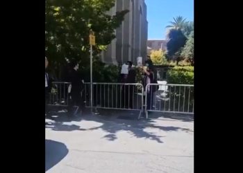 El cruce de Javier Milei con manifestantes propalestina en EEUU: le gritaron “fascista” y los tildó de “burros”