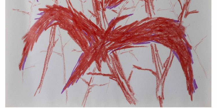 El Museo Moderno de Buenos Aires inauguró su temporada del año