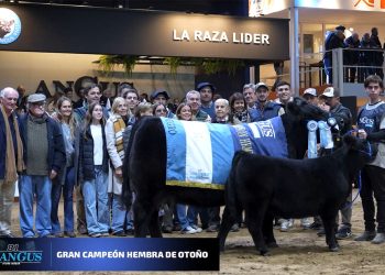 “Es el mejor toro que crió La Rubeta en su historia”