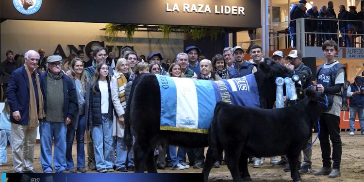 “Es el mejor toro que crió La Rubeta en su historia”