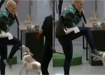 Gran Hermano: piden la expulsión de “Furia” por agredir a Arturo