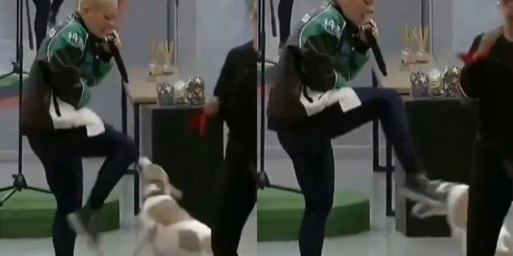 Gran Hermano: piden la expulsión de “Furia” por agredir a Arturo