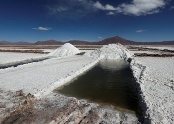 La (in)constitucionalidad del RIGI, en la mira de un PJ que se aleja del progresismo