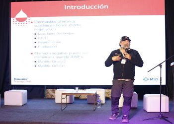 La lechería trabaja para mejorar las vacas del futuro