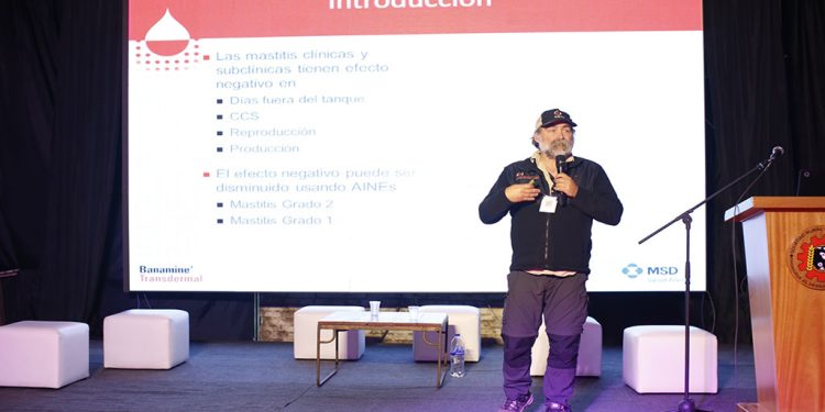 La lechería trabaja para mejorar las vacas del futuro