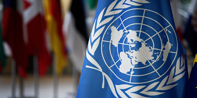 La ONU y la Unesco ponen bajo la lupa la polémica ley de medios