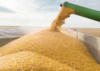 La soja alcanzó máximos de 4 meses por las catastróficas inundaciones en Brasil