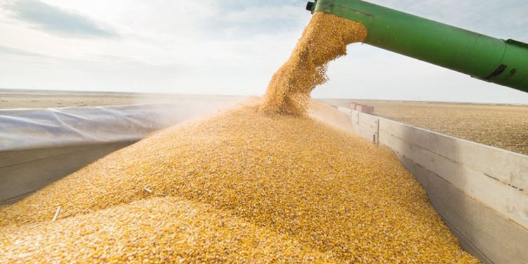 La soja alcanzó máximos de 4 meses por las catastróficas inundaciones en Brasil