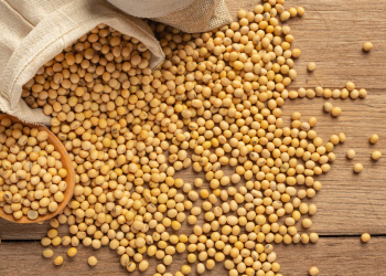 La soja llegó a máximos de un mes y se abre una ventana de oportunidad para Uruguay