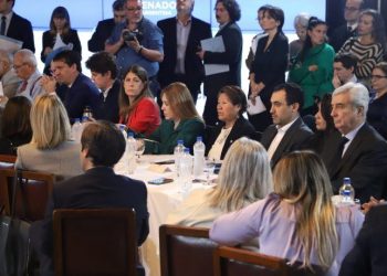 Ley Bases en el Senado: pedidos por el INTI, el CONICET y denuncias de “inconstitucionalidad”