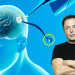 Neuralink, de Elon Musk, está buscando inscribir pacientes en un estudio sobre implantes cerebrales