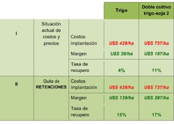 Nuevo ciclo productivo del trigo, ¿se renuevan las esperanzas?