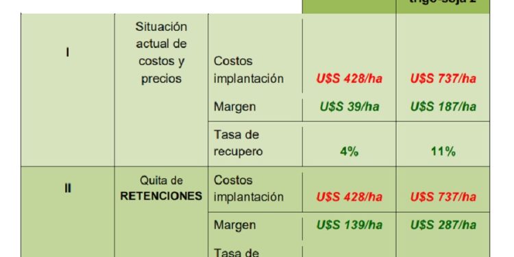 Nuevo ciclo productivo del trigo, ¿se renuevan las esperanzas?