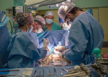 Orgullo nacional: el Garrahan alcanzó los cien trasplantes de corazón en pediatría