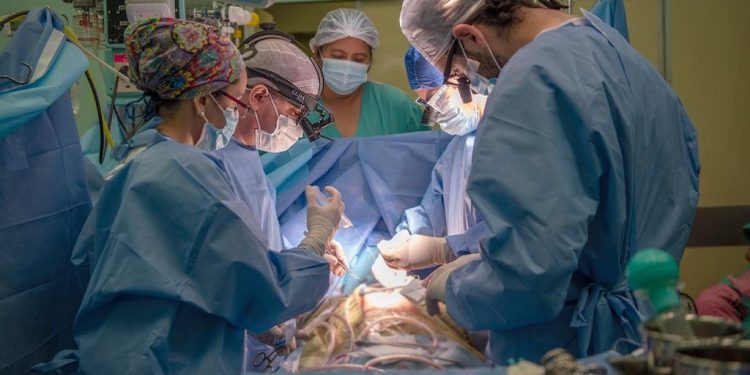 Orgullo nacional: el Garrahan alcanzó los cien trasplantes de corazón en pediatría