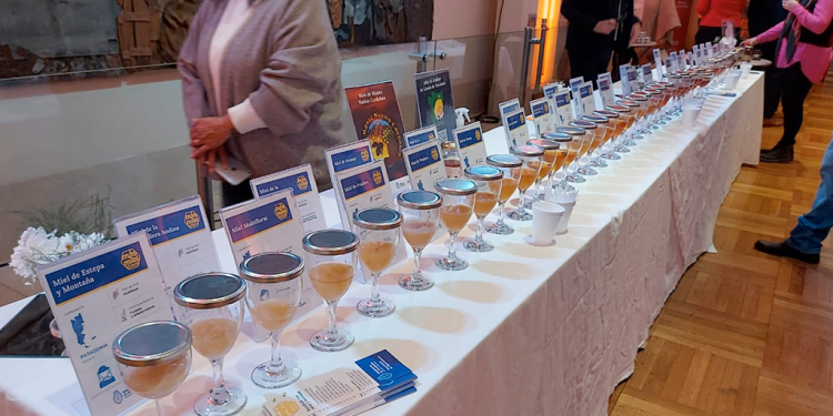 Semana de la miel: acciones regionales para la promoción de la actividad apícola