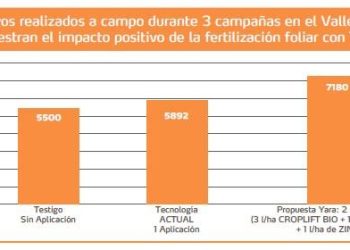 Vitivinicultura: ensayos muestran ganancias de 1600 kg de uvas por hectárea con fertilización foliar