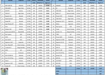 Datos para planear la próxima siembra de sorgo en Entre Ríos: Evaluaron 75 híbridos, graníferos y forrajeros