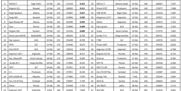 Datos para planear la próxima siembra de sorgo en Entre Ríos: Evaluaron 75 híbridos, graníferos y forrajeros