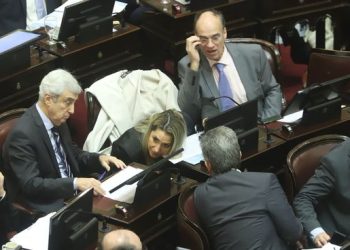 El mensaje de la UCR, luego del voto en el Senado: “Logramos una mejor ley Bases”