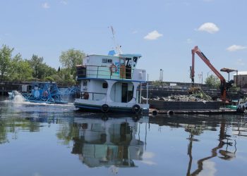 La motosierra pone en riesgo el saneamiento obligado del Riachuelo