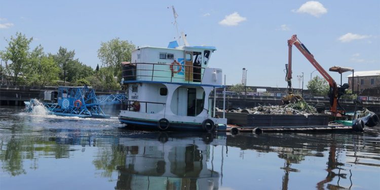 La motosierra pone en riesgo el saneamiento obligado del Riachuelo