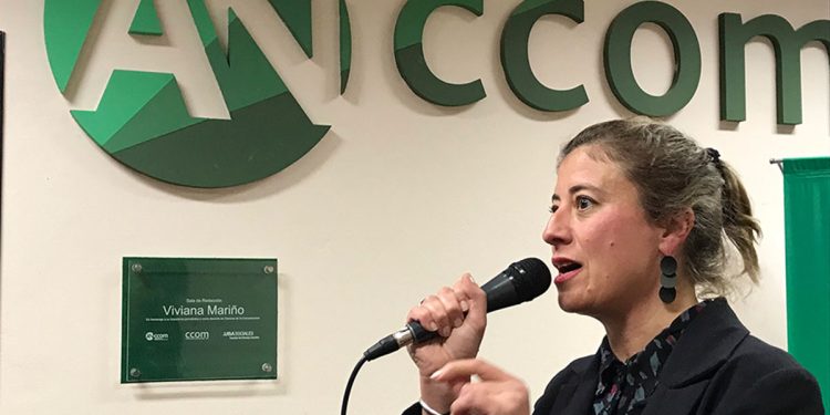 La red de Elon Musk bloqueó ANCCOM, la agencia de noticias de la UBA