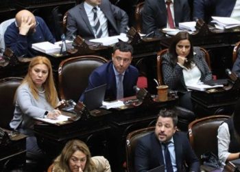 Ley Bases: el bloque de senadores de la UCR pidió a Diputados que acompañen los cambio en la sanción definitiva