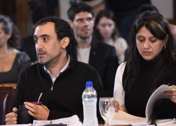 Ley Bases: Senadora santacruceña Gadano denunció amenazas contra sus hijos para instarla a votar a favor