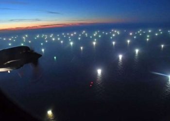 Mar Argentino: buscan crear área marina protegida para regular pesca extranjera