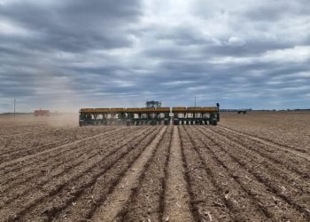 Reafirman caída en la intensidad del fenómeno La Niña y mejoran las perspectivas de cara a la gruesa