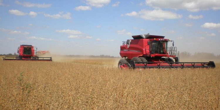 Revés para el campo: la Justicia le dio la razón a Kicillof en la liquidación del Inmobiliario Rural