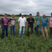 Santiago del Estero: reunión del Grupo Cambio Rural Productores de Alfalfa de Avellaneda