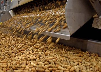 Se reduce la cantidad de productos alcanzados por las Declaraciones Juradas de Venta al Exterior