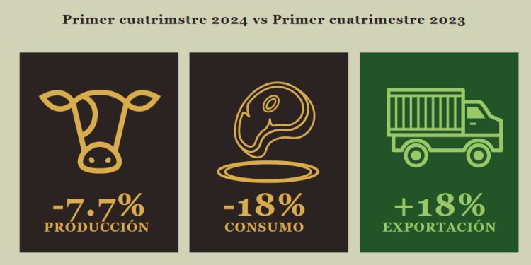 Si no se modifica la tendencia, el 2024 cerrará con el menor consumo de carne en la historia