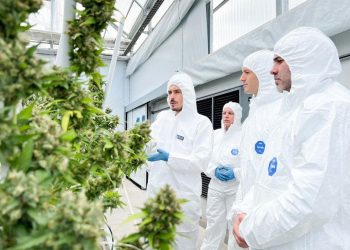 Fuertes críticas a las nuevas regulaciones que limitan el acceso del cannabis medicinal a los pacientes