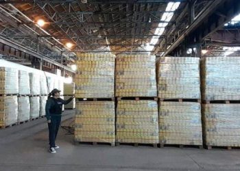 Capital Humano prometió fortalecer entrega a comedores “siempre que podamos identificar que realmente existen”