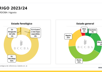 Córdoba: Se incrementó el trigo en mal estado por efectos de las heladas y falta de agua
