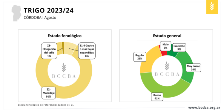 Córdoba: Se incrementó el trigo en mal estado por efectos de las heladas y falta de agua
