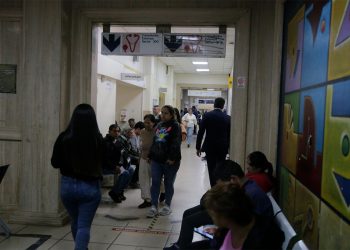 Críticas y reclamos por la estrategia de la Ciudad para combatir el dengue