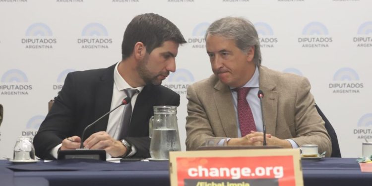 Diputados: este martes avanzará en comisión el debate por el proyecto de “Ficha Limpia”