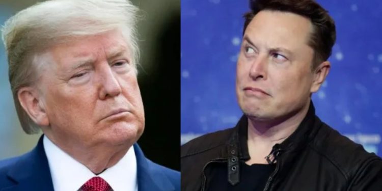 Donald Trump le ofreció a Elon Musk ser el Sturzenegger de EEUU